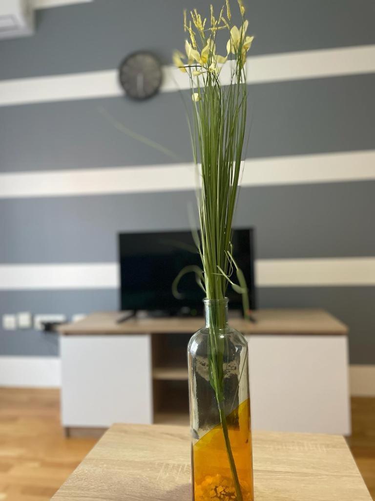 Naki Apartmani ポドゴリツァ 部屋 写真