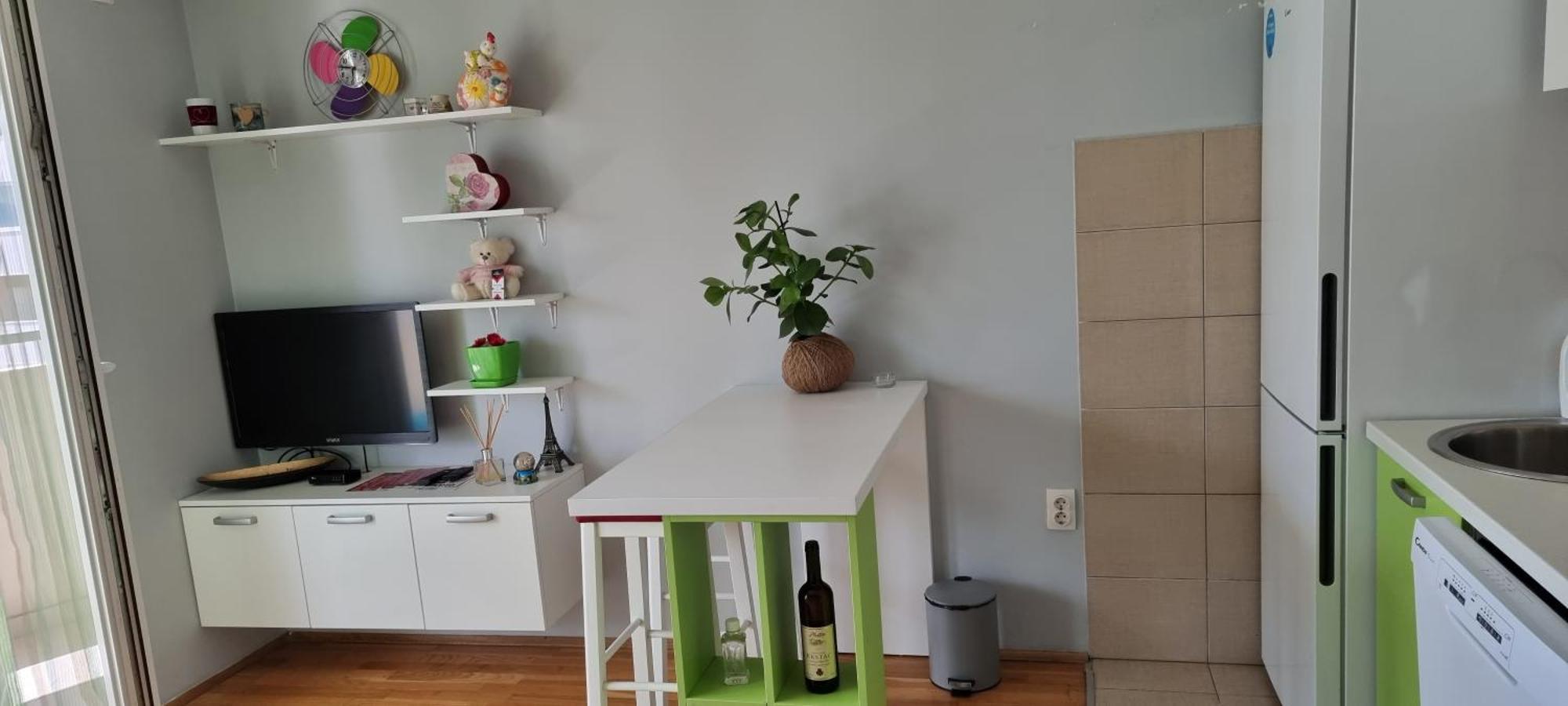 Naki Apartmani ポドゴリツァ 部屋 写真